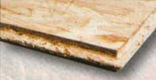 holz2
